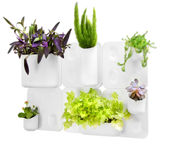 Big Happy Family Kit