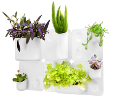 Big Happy Family Kit